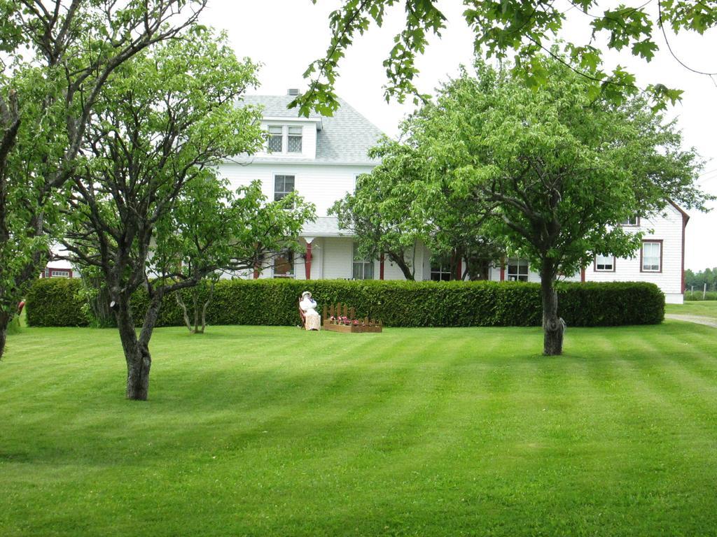 Gite Les Acres Tranquilles B&B Port-Daniel 외부 사진