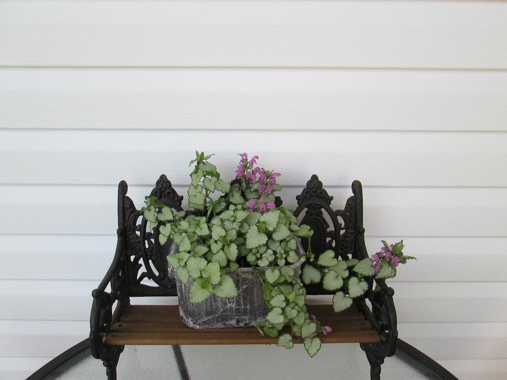 Gite Les Acres Tranquilles B&B Port-Daniel 외부 사진