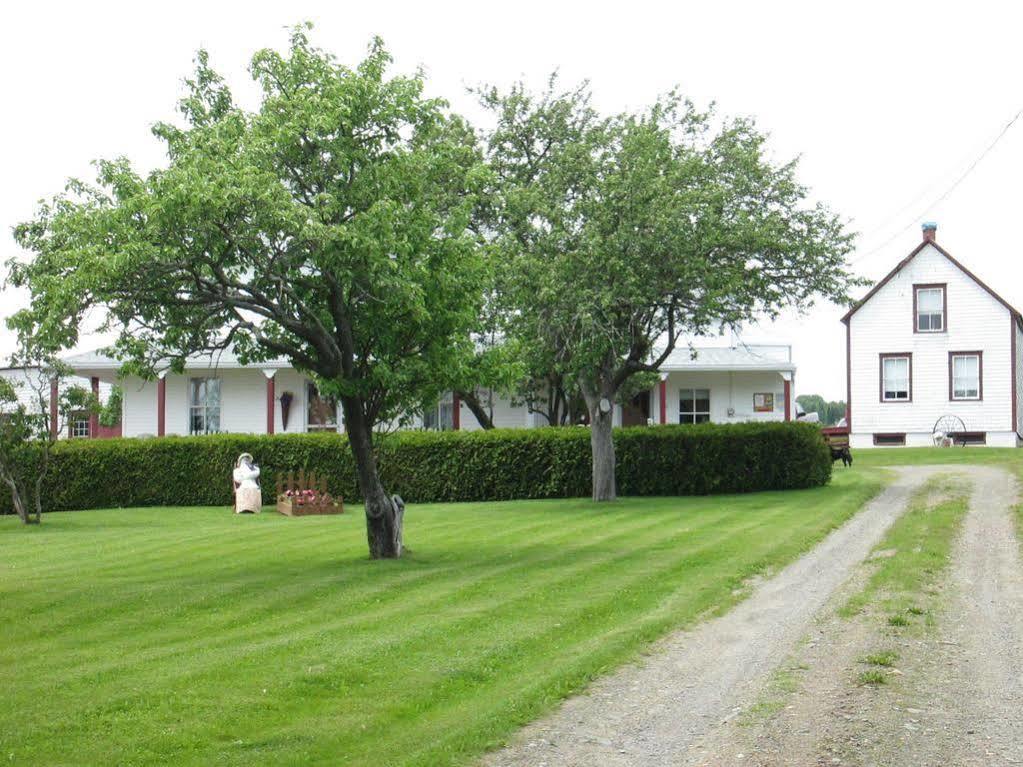 Gite Les Acres Tranquilles B&B Port-Daniel 외부 사진
