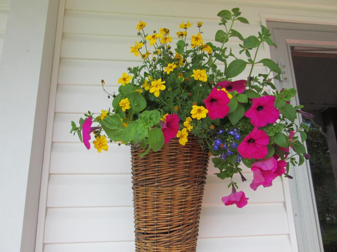 Gite Les Acres Tranquilles B&B Port-Daniel 외부 사진